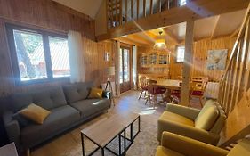 Chalet Barcelonnette, 4 pièces, 8 personnes - FR-1-165A-121